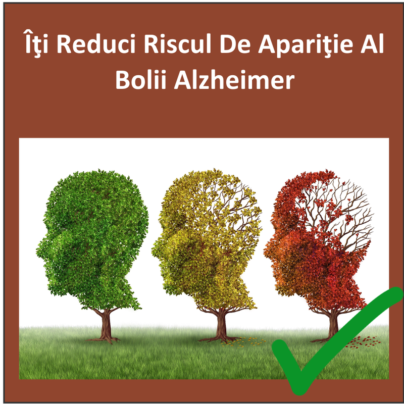 Îţi Reduci Riscul De Apariţie Al Bolii Alzheimer