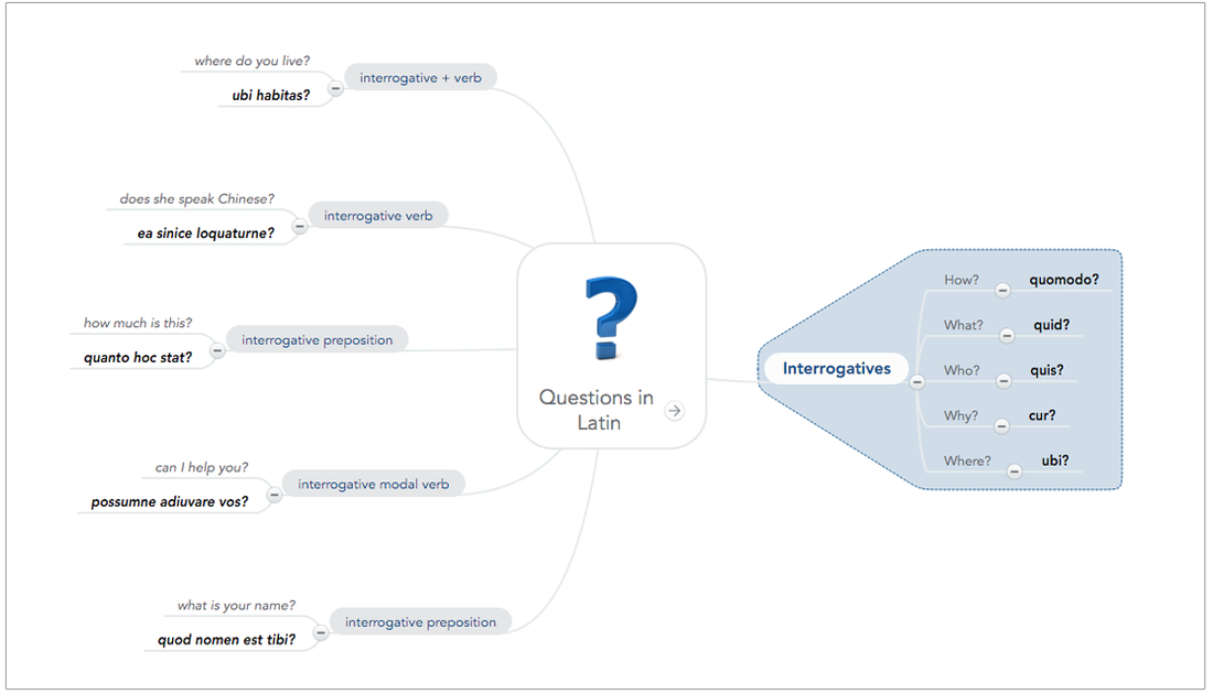 Harta Mentala: Intrebari in Lantina - Notite luate de un elev de liceu la ora de latina